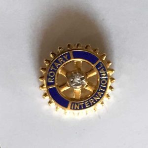 7mm Stickpin met glimmend steentje